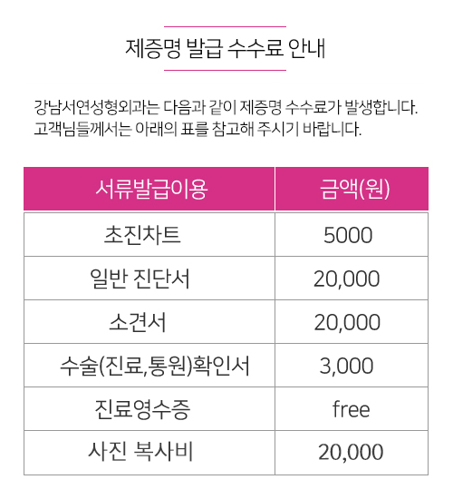 강남서연제증명수수료